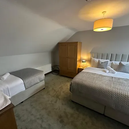 The Brook 3* 골웨이